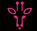 Pink Giraffe